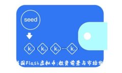 韩国Flash虚拟币：投资前景与市场分析